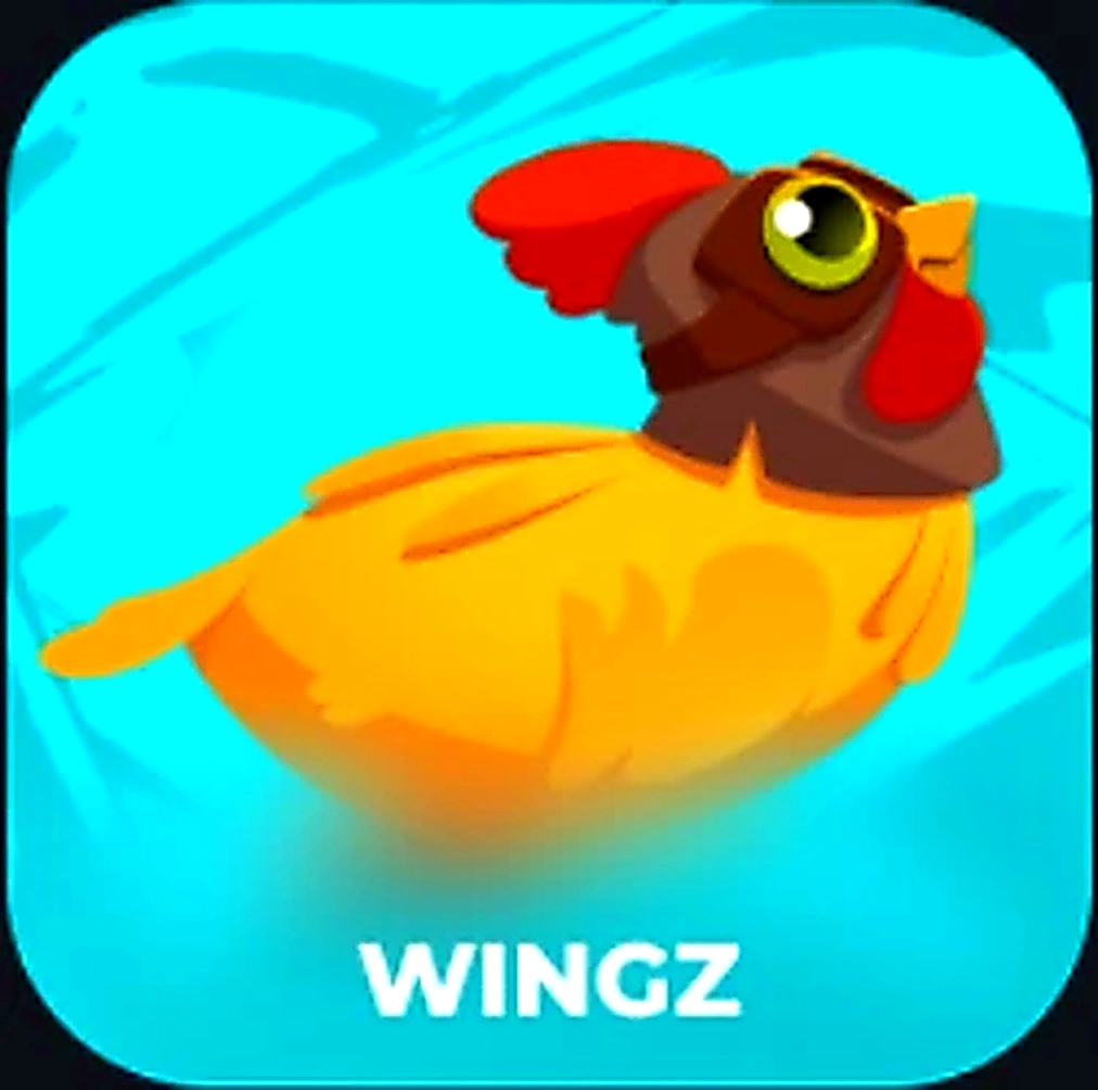 Wingz
